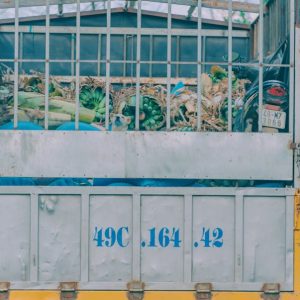 Transporte de Mercancías Refrigeradas